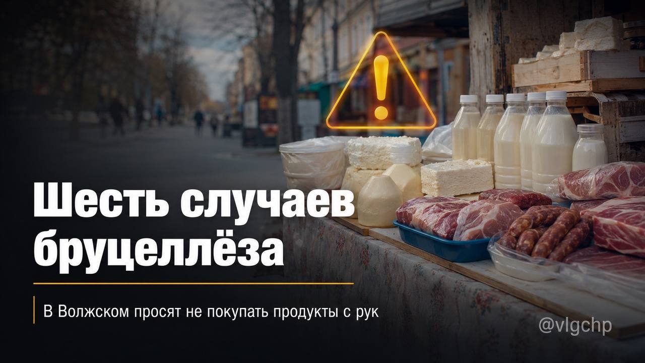 photo_47600