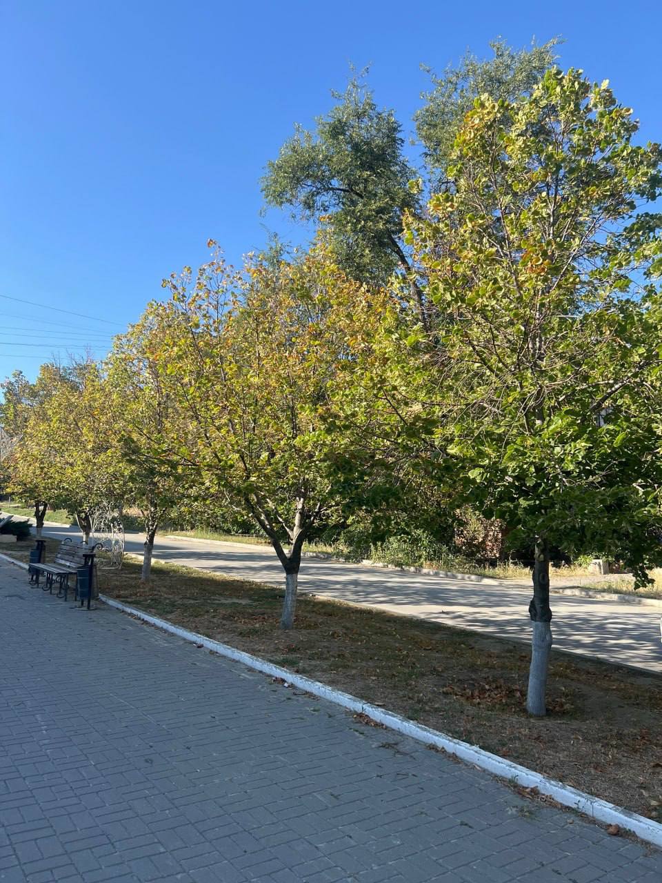 photo_47605