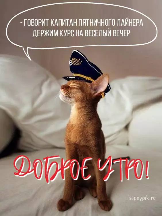 photo_47644