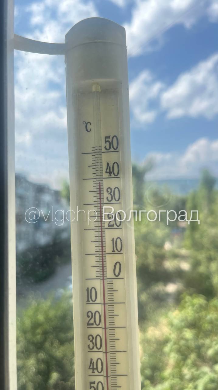photo_47728