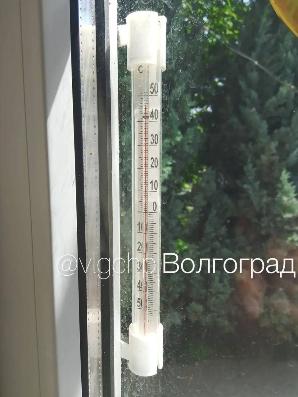 photo_47759