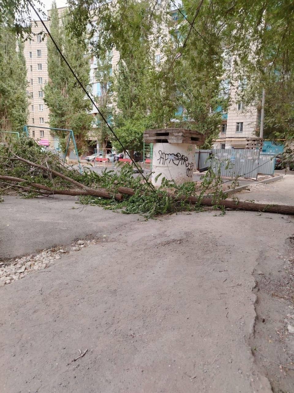 photo_47770