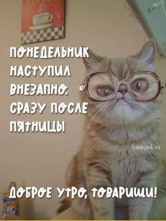 photo_47790