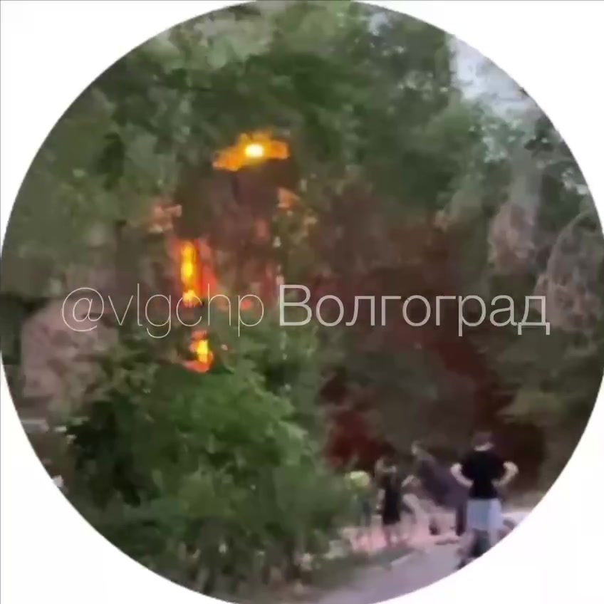 video_47230_frame
