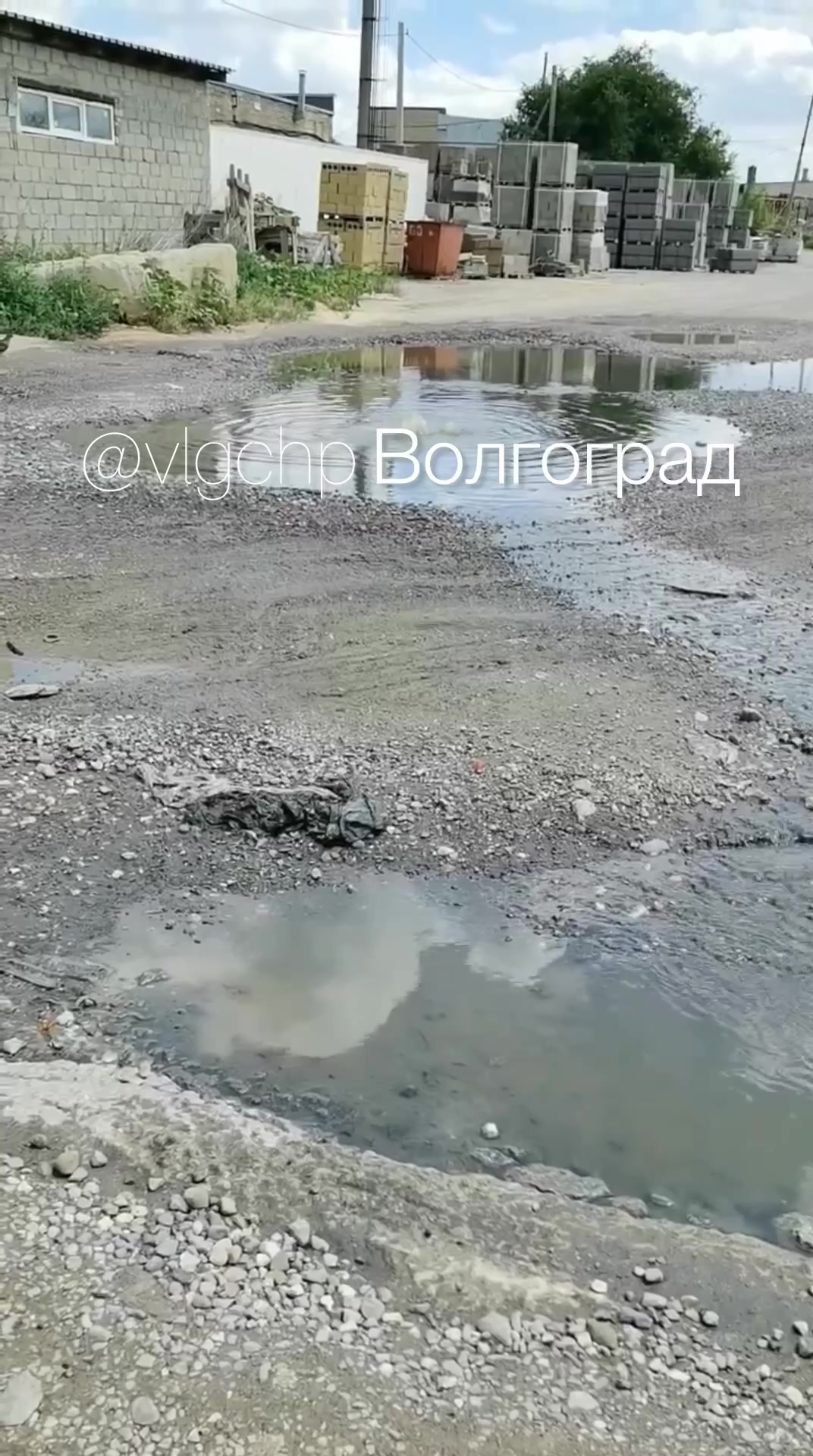 video_47304_frame