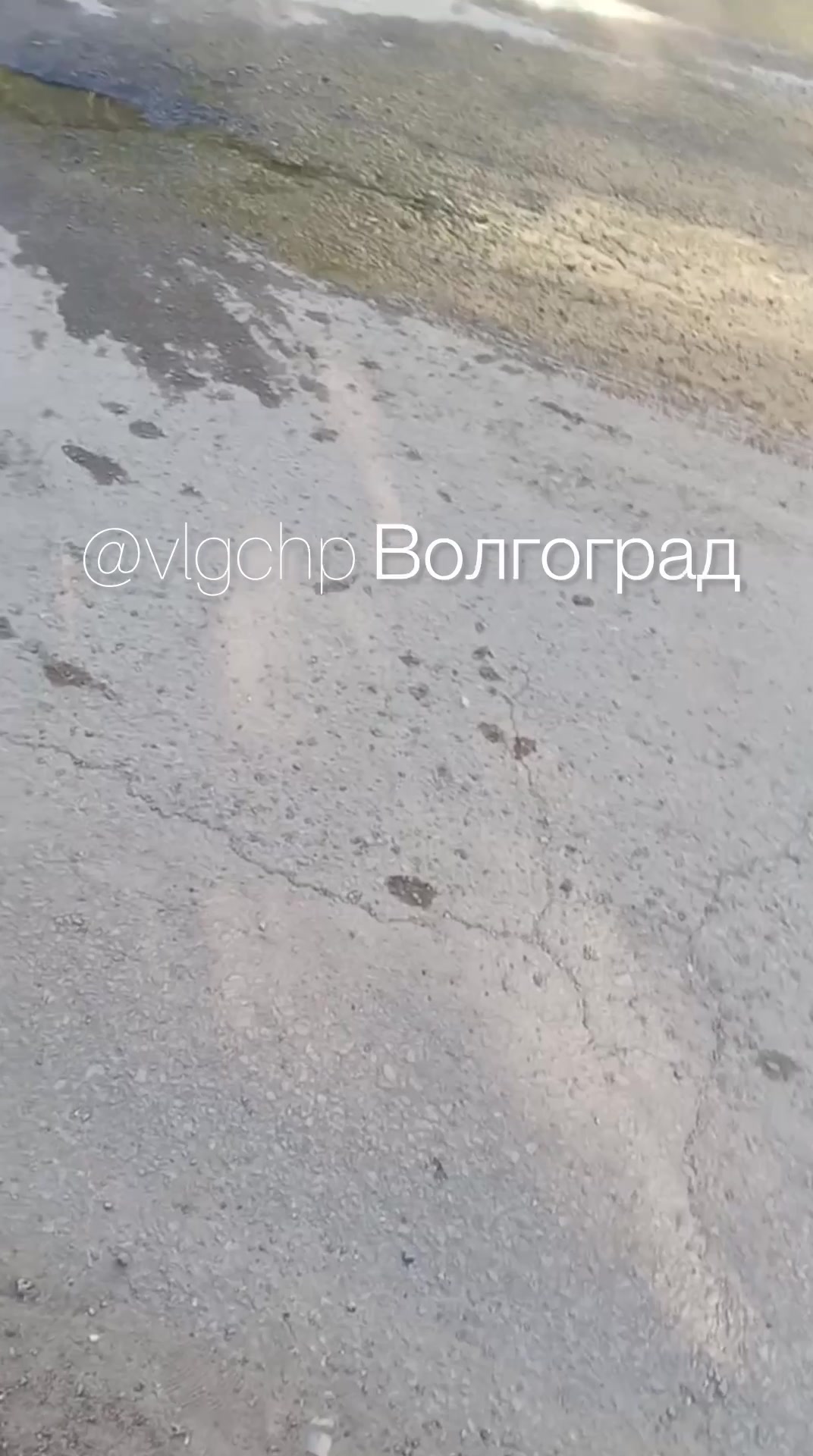 video_47306_frame