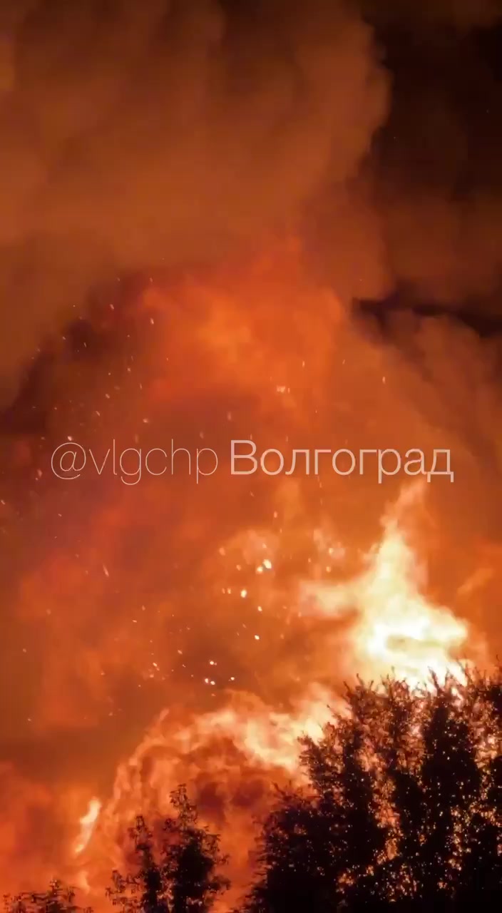 video_47331_frame