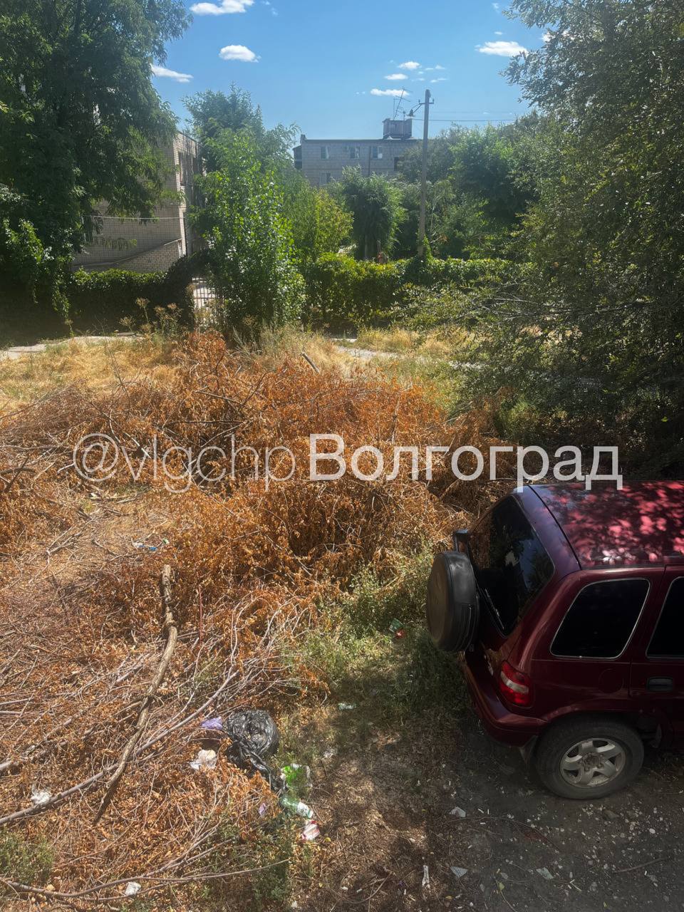 photo_49004