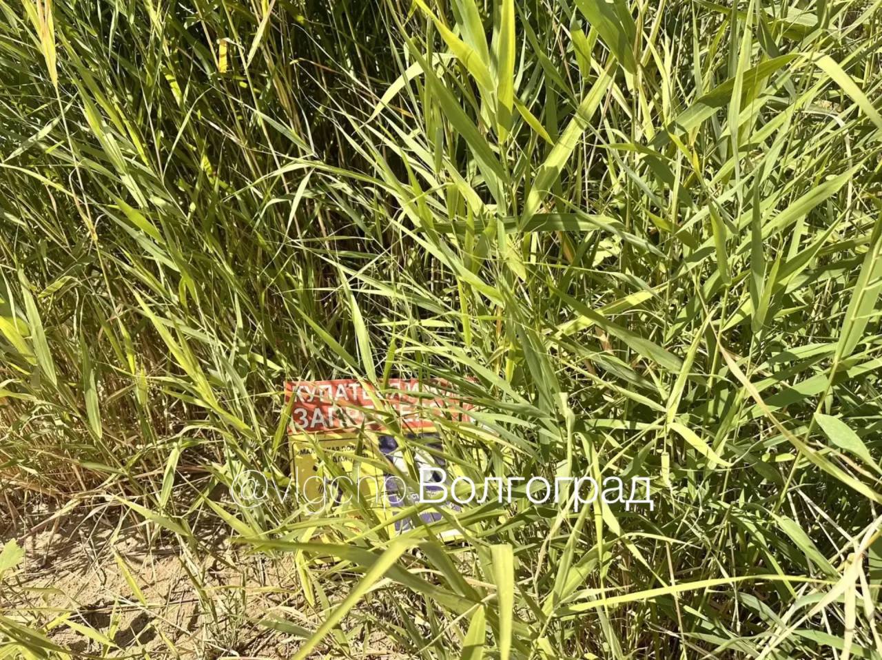 photo_49037