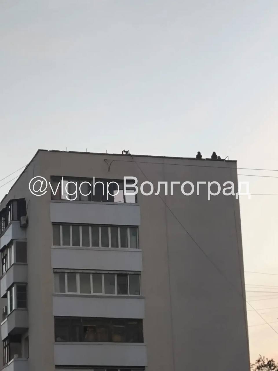 photo_49158