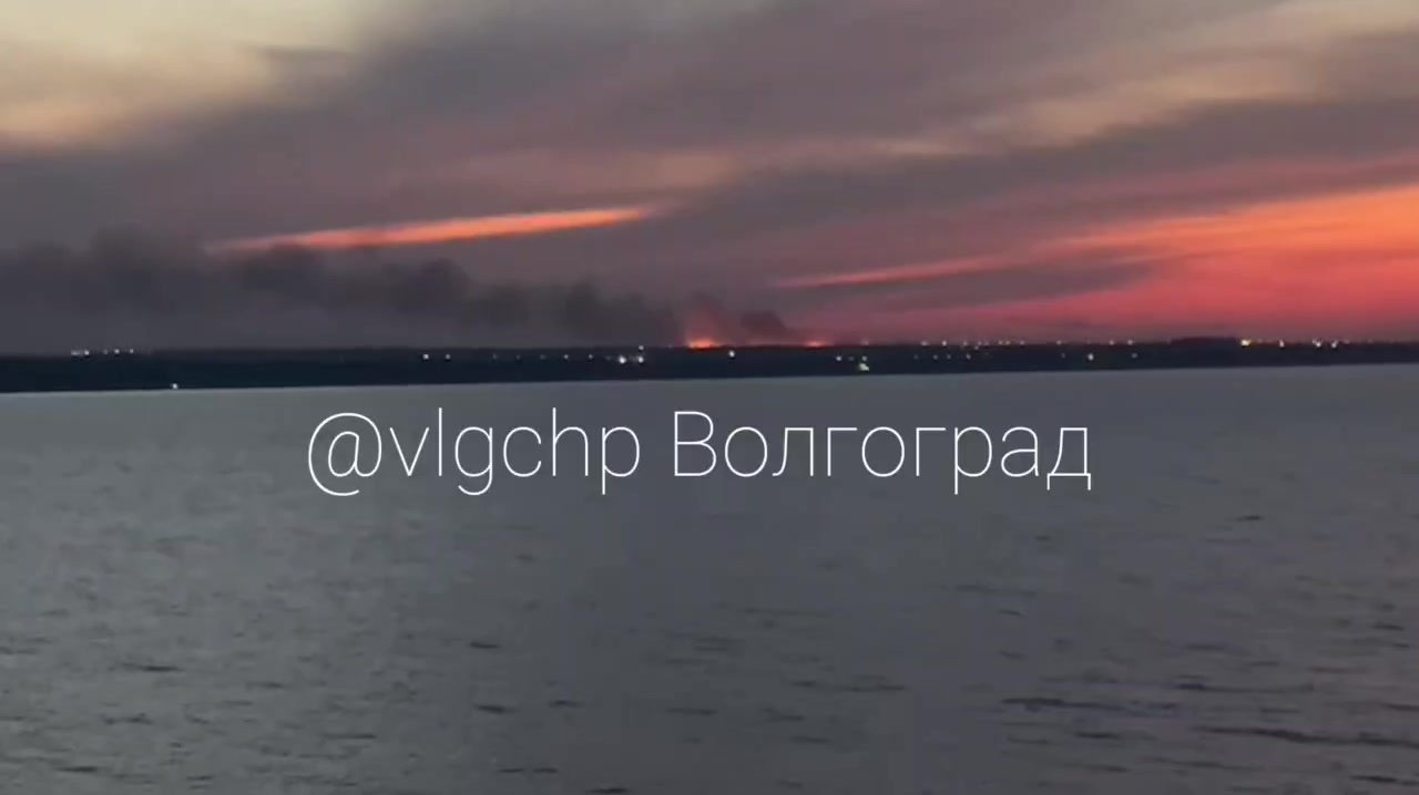 video_48396_frame